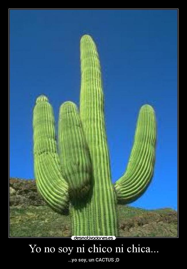 Yo no soy ni chico ni chica... - ...yo soy, un CACTUS ;D