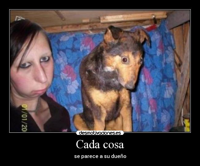 Cada cosa - se parece a su dueño