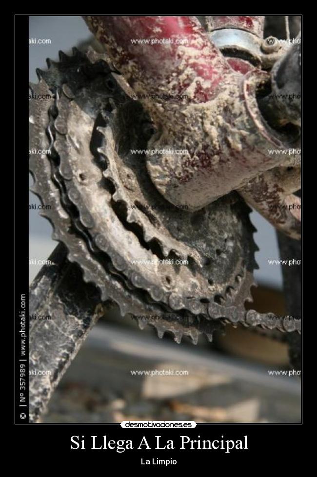 Si Llega A La Principal - 