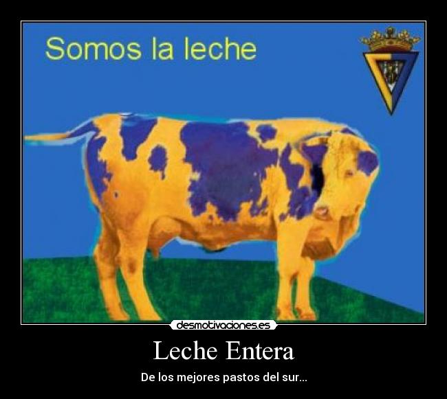 Leche Entera -