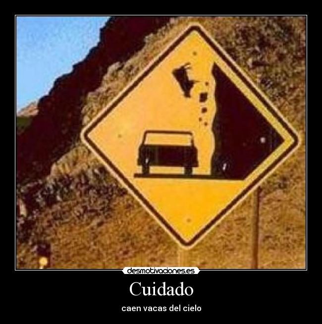 Cuidado - caen vacas del cielo