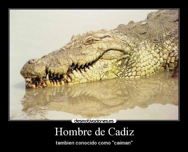 Hombre de Cadiz - 