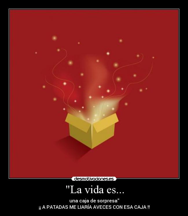 La vida es... - una caja de sorpresa
¡¡ A PATADAS ME LIARÍA AVECES CON ESA CAJA !!