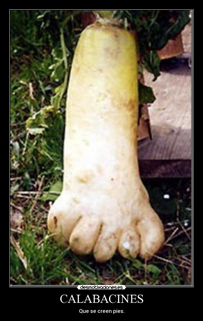 CALABACINES - Que se creen pies.