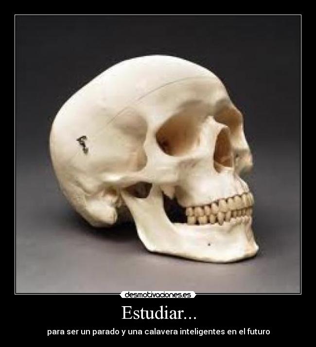 Estudiar... -