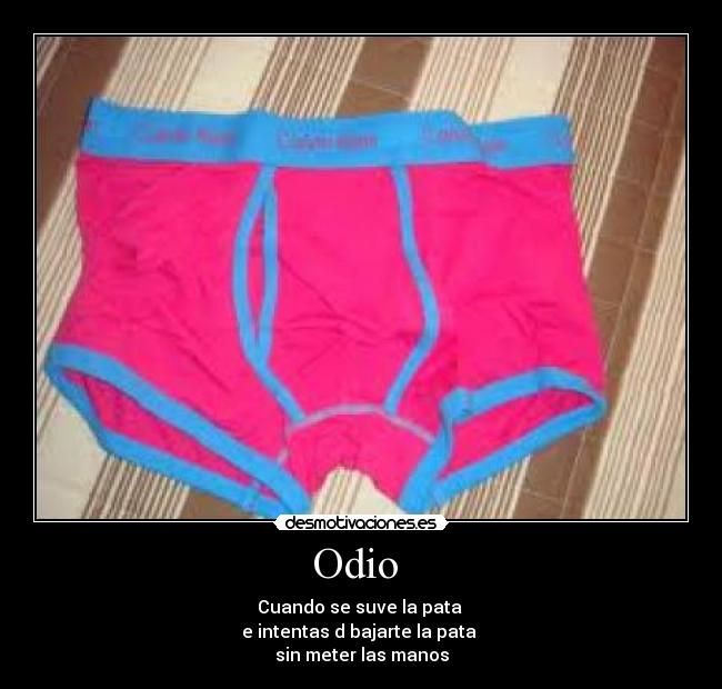 Odio  - 