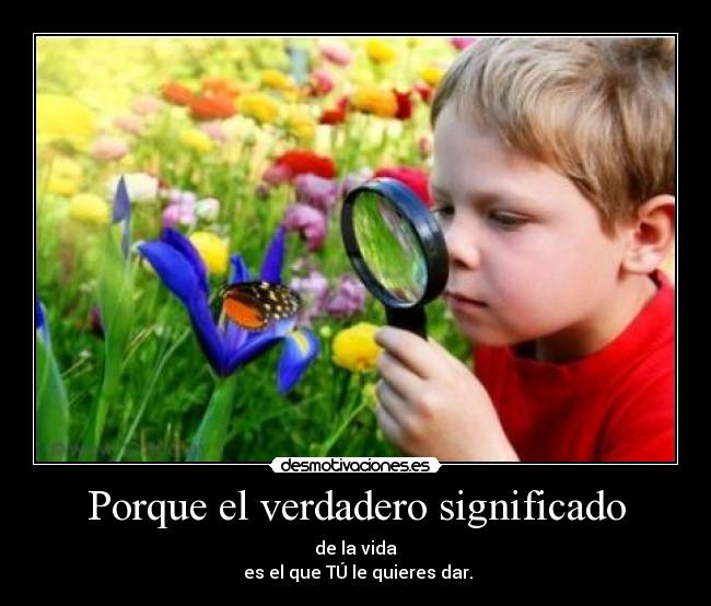 Porque el verdadero significado - de la vida
es el que TÚ le quieres dar.