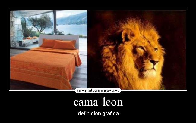 cama-leon - 