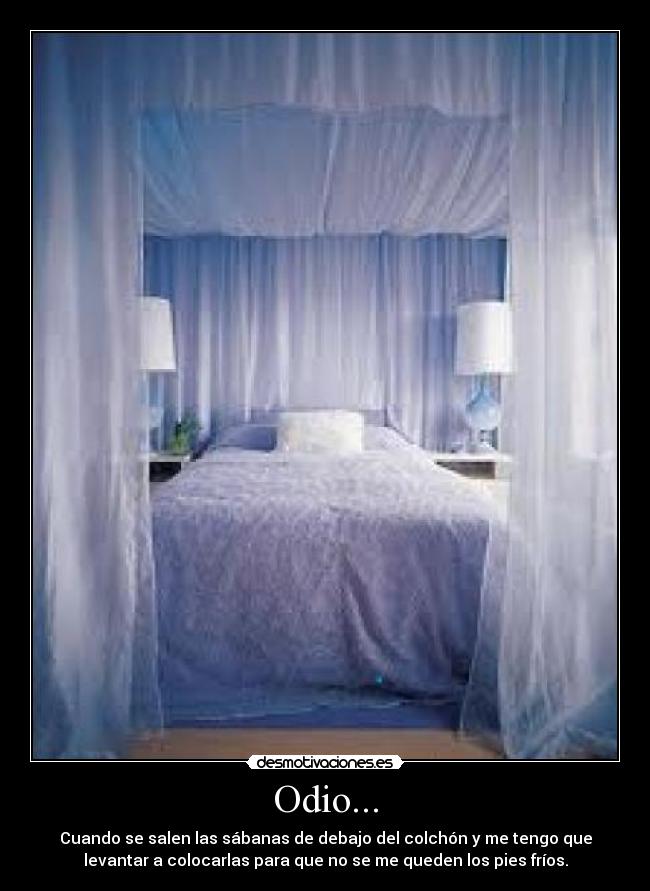 Odio... - 
