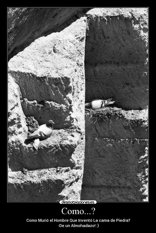 Como...? - Como Murió el Hombre Que Inventó La cama de Piedra?
-De un Almohadazo! :)