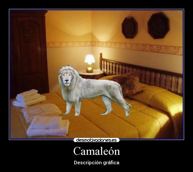 Camaleón - 
