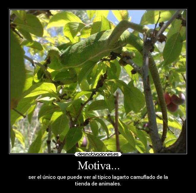Motiva... -