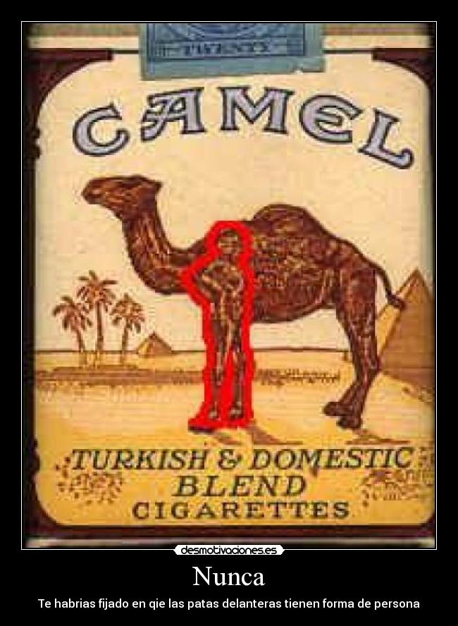 Nunca - Te habrias fijado en qie las patas delanteras tienen forma de persona