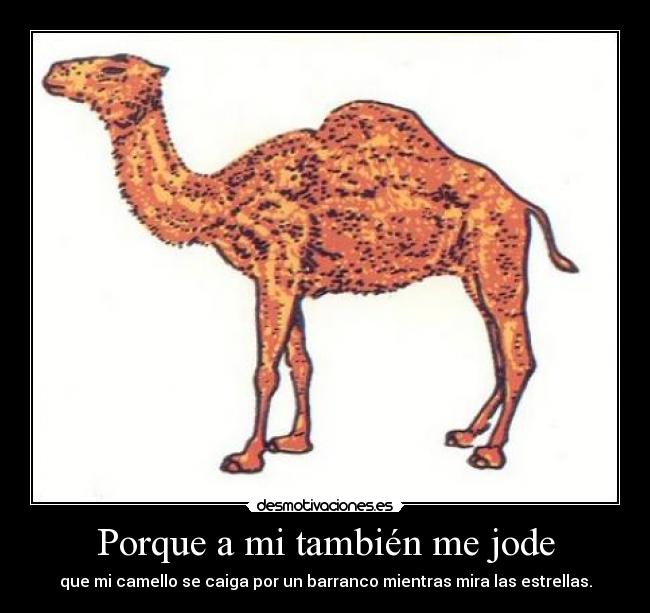 Porque a mi también me jode - que mi camello se caiga por un barranco mientras mira las estrellas.