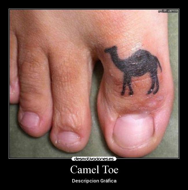 Camel Toe - Descripcion Gráfica