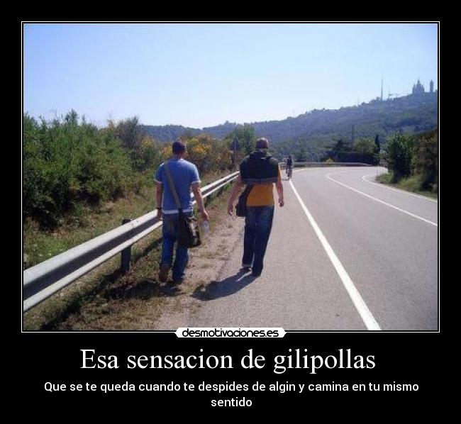 Esa sensacion de gilipollas -