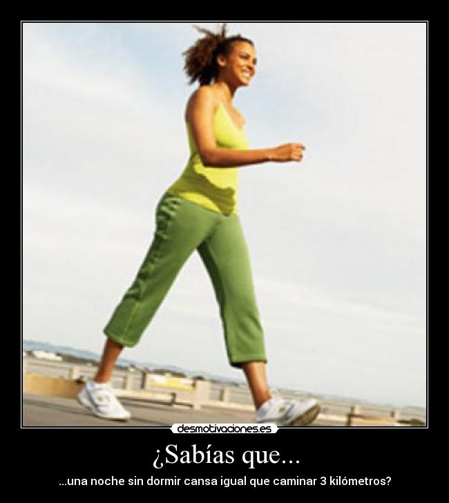 ¿Sabías que... - 