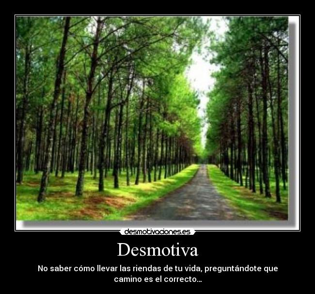Desmotiva - No saber cómo llevar las riendas de tu vida, preguntándote que
camino es el correcto…