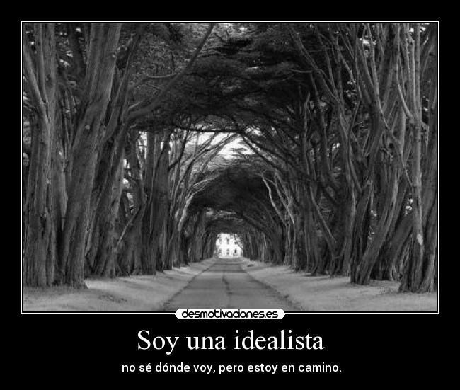 Soy una idealista -