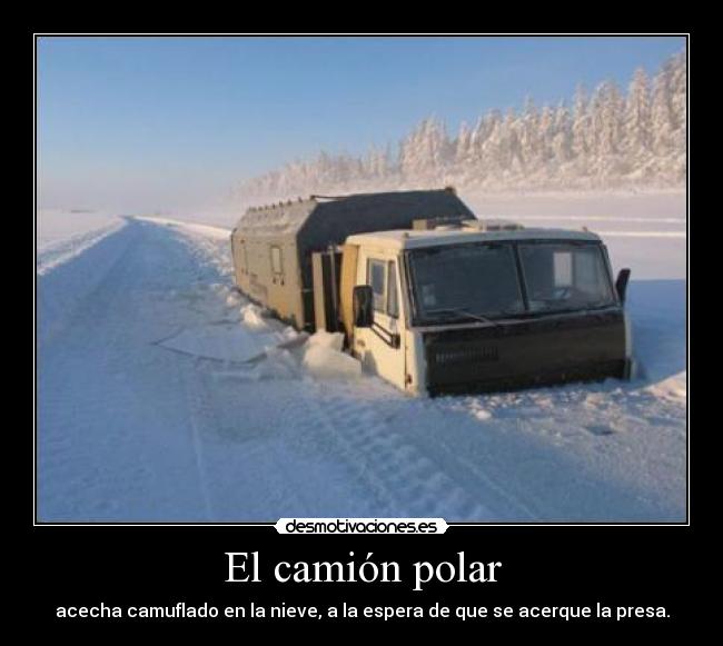 El camión polar - 