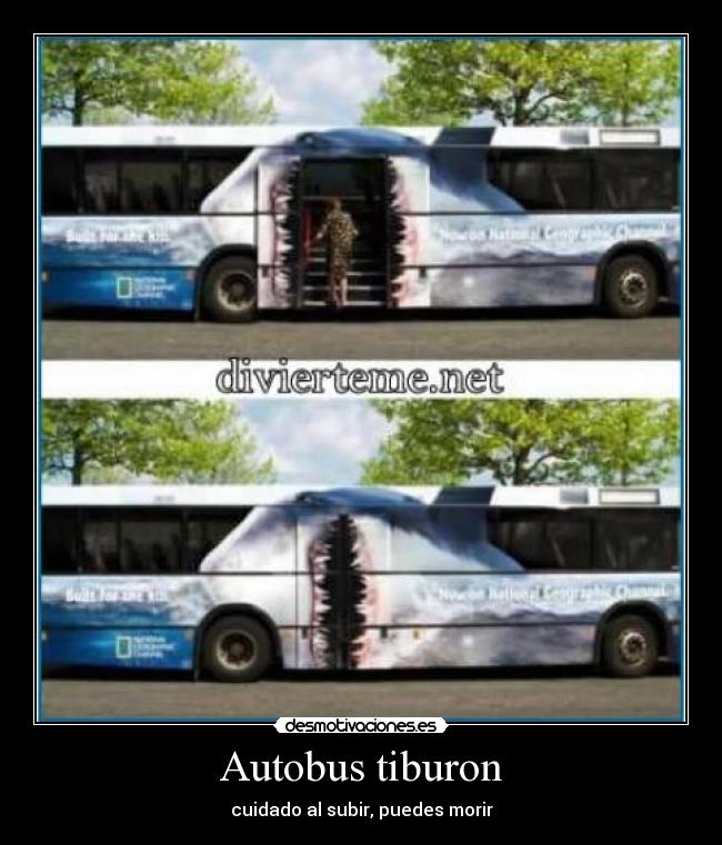 Autobus tiburon -