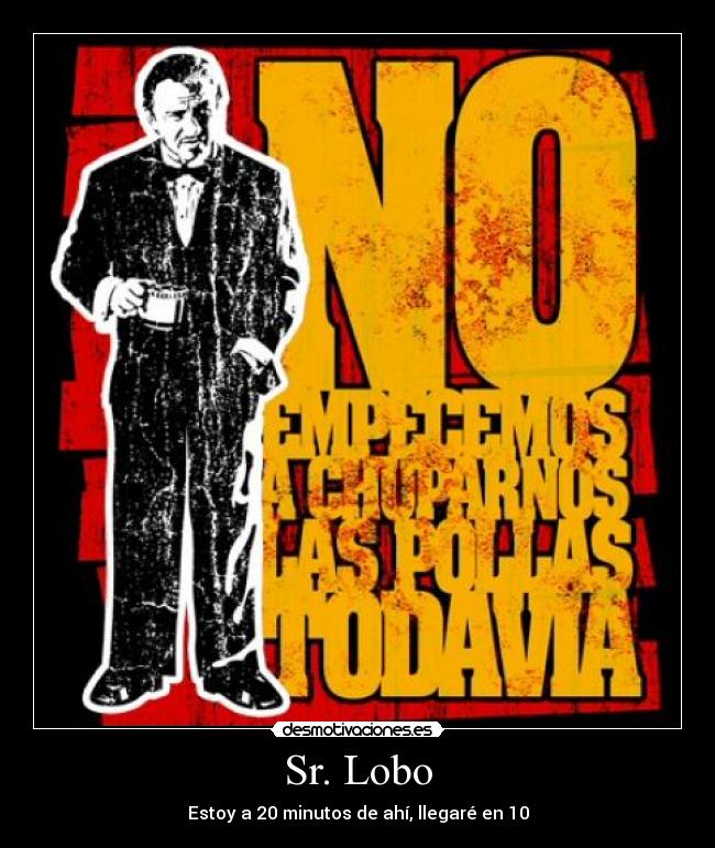 Sr. Lobo - 