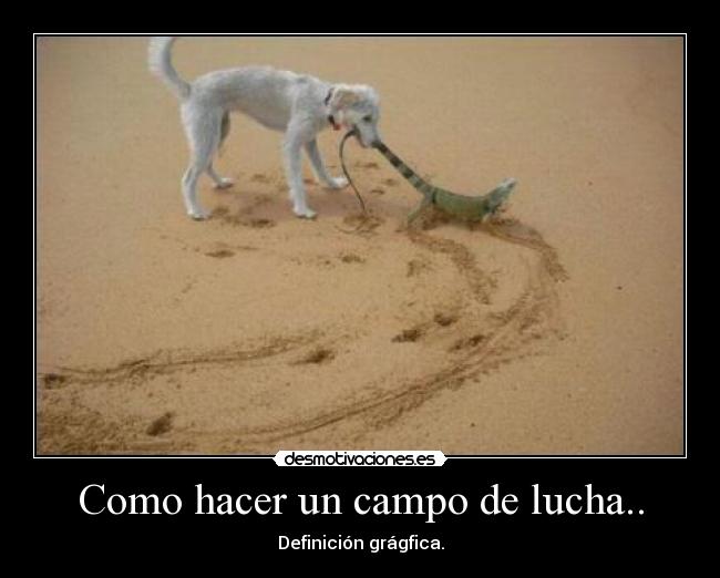Como hacer un campo de lucha.. - Definición grágfica.