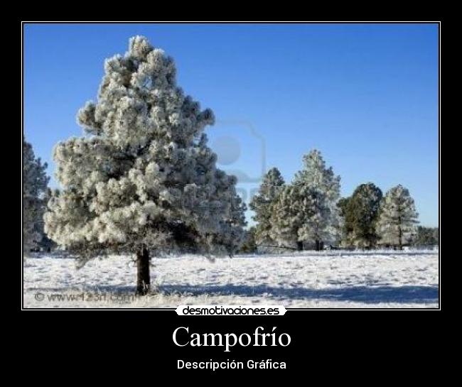 Campofrío - Descripción Gráfica