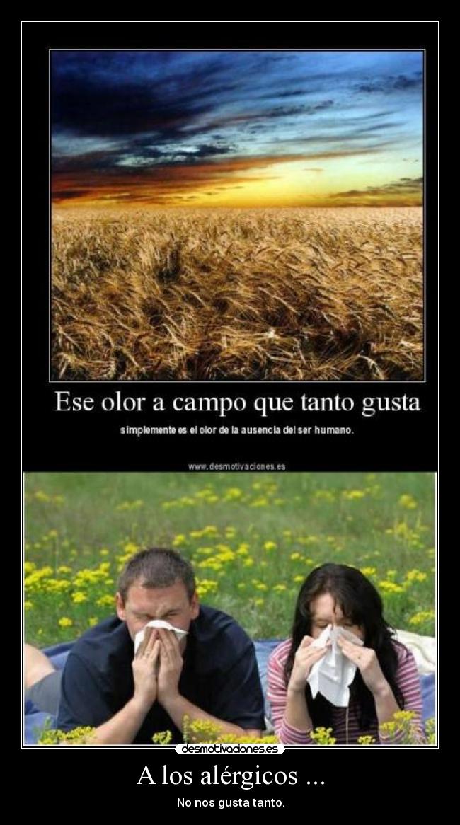 A los alérgicos ... - 
