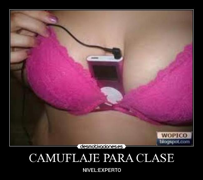 CAMUFLAJE PARA CLASE - NIVEL:EXPERTO
