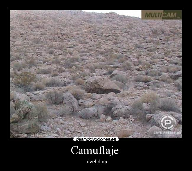 Camuflaje -