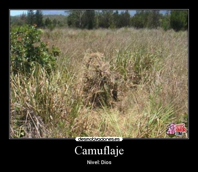 carteles camuflaje desmotivaciones