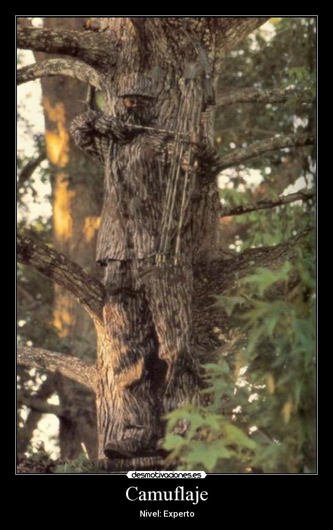 Camuflaje -