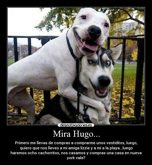 Mira Hugo... - Primero me llevas de compras a comprarme unos vestiditos, luego,
quiero que nos lleves a mi amiga lizzie y a mi a la playa...luego
haremos ocho cachorritos, nos casamos y compras una casa en nueva
york vale?