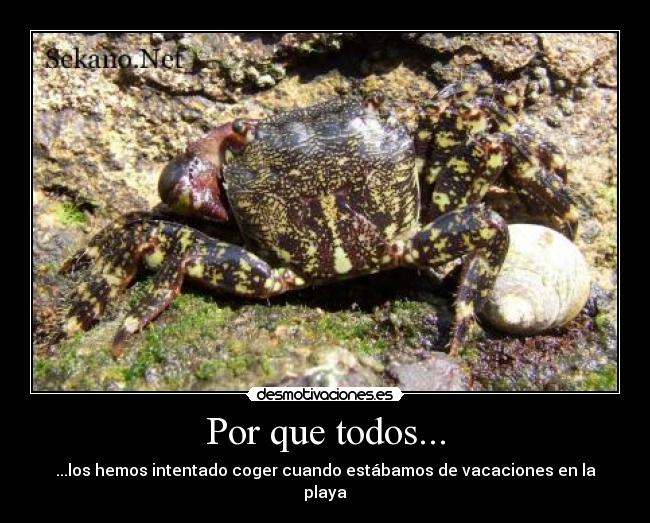 Por que todos... -