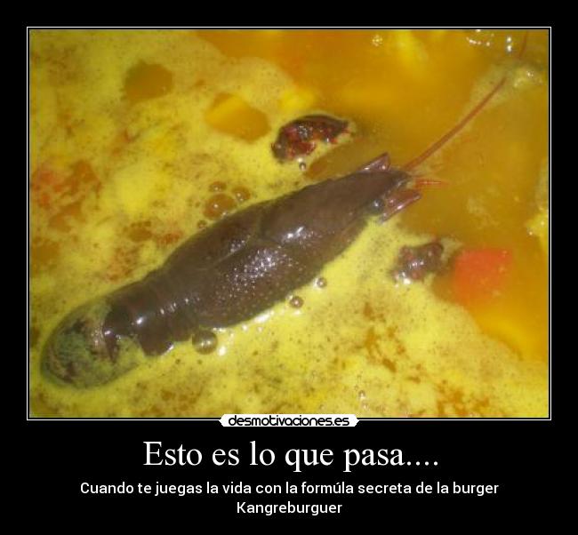 Esto es lo que pasa.... - Cuando te juegas la vida con la formúla secreta de la burger Kangreburguer