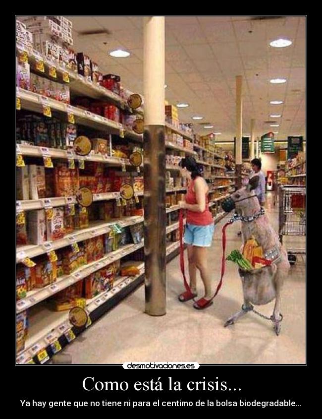 Como está la crisis... - Ya hay gente que no tiene ni para el centimo de la bolsa biodegradable...