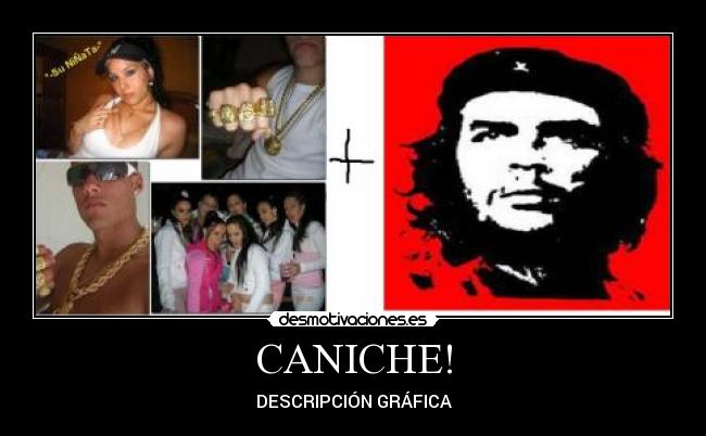 CANICHE! - DESCRIPCIÓN GRÁFICA