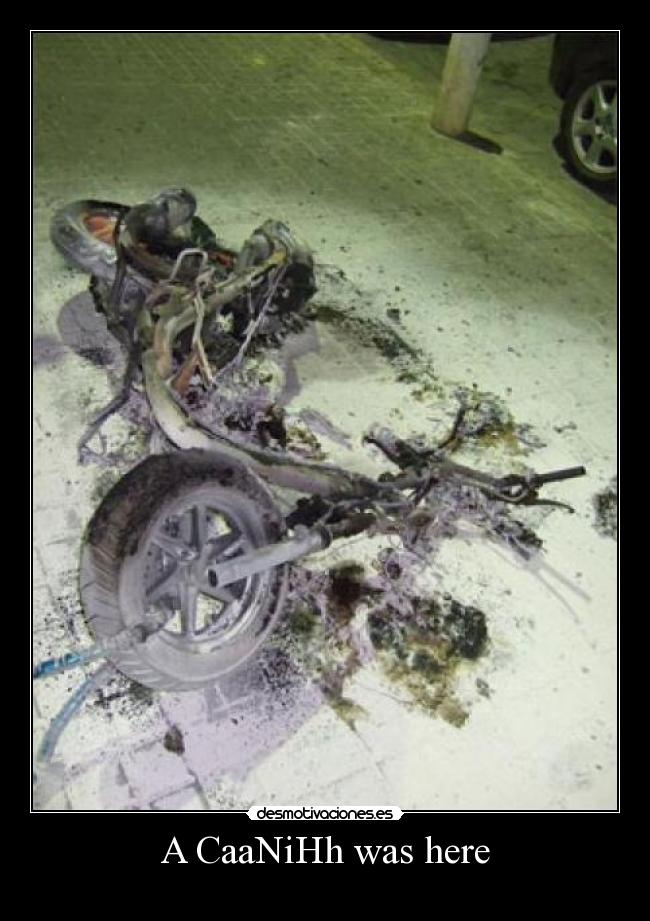 carteles caanihh was here desmotivaciones