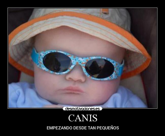 CANIS -