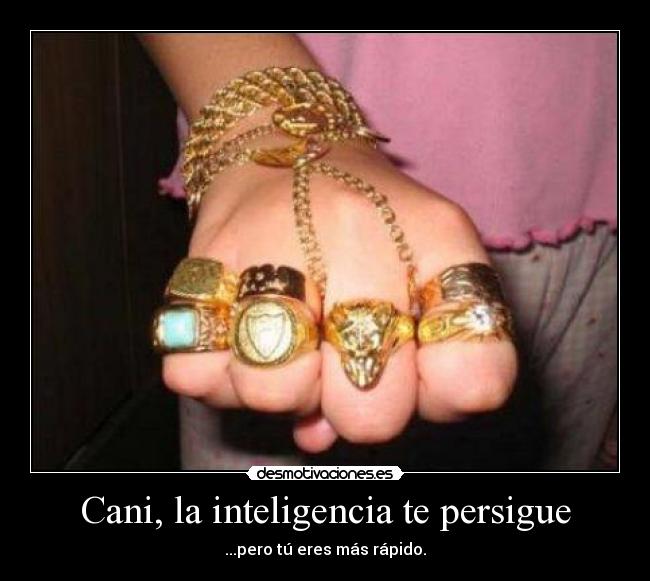 Cani, la inteligencia te persigue - ...pero tú eres más rápido.