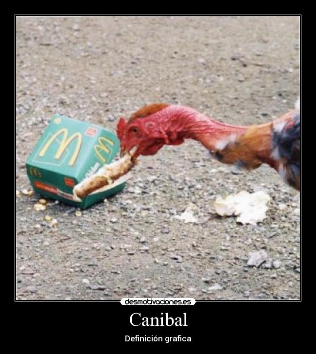Canibal - 