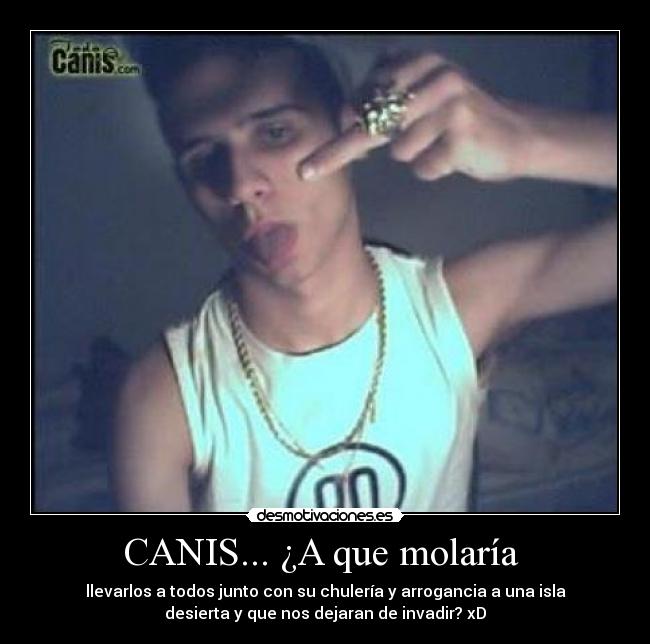 CANIS... ¿A que molaría -