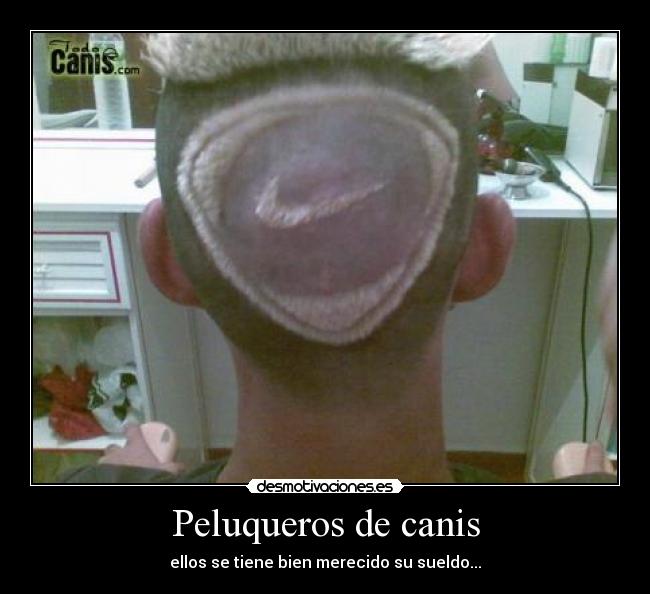 Peluqueros de canis -