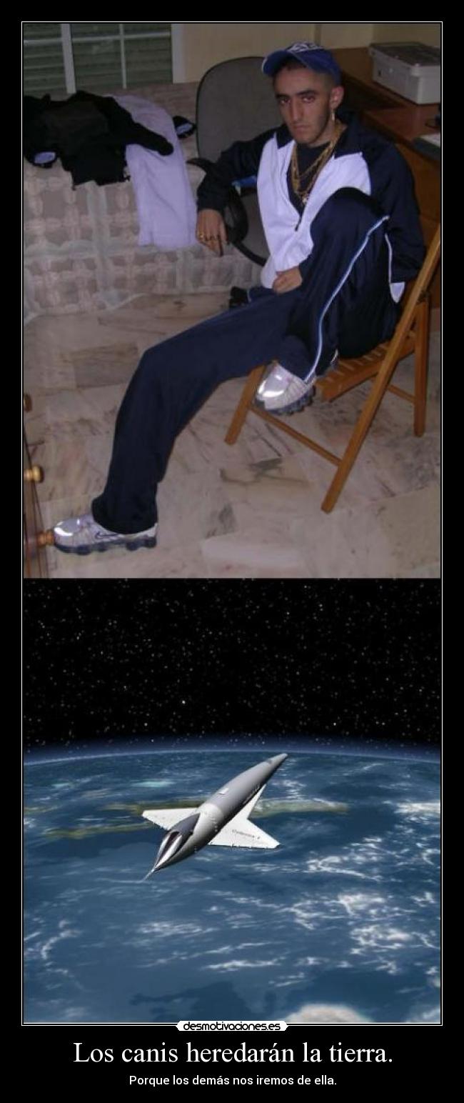 Los canis heredarán la tierra. - Porque los demás nos iremos de ella.