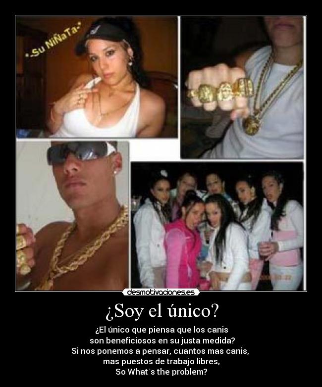¿Soy el único? -