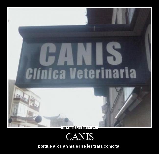 CANIS -