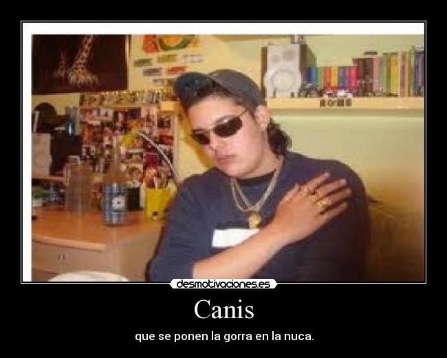 carteles jotarisas desmotivaciones