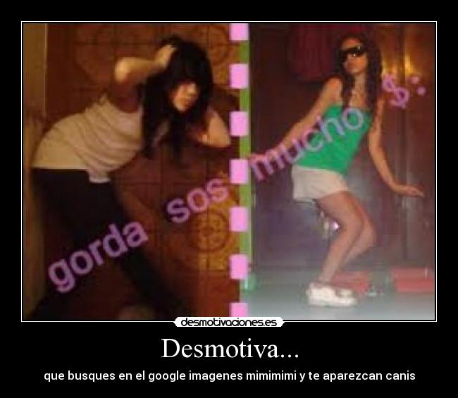 Desmotiva... - que busques en el google imagenes mimimimi y te aparezcan canis