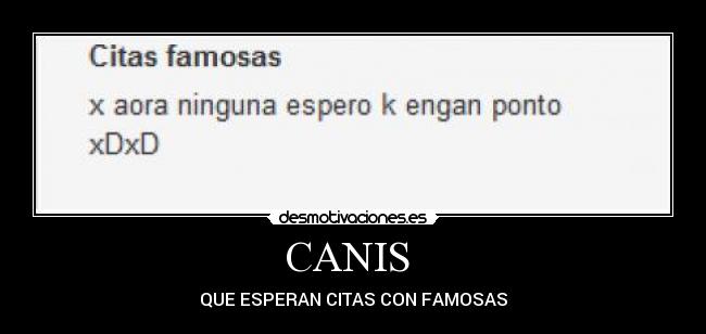 CANIS - QUE ESPERAN CITAS CON FAMOSAS